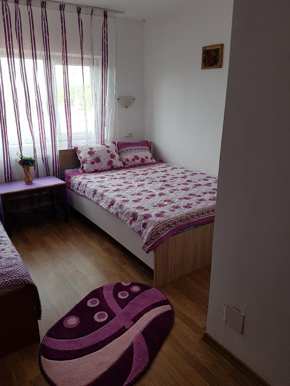 Casa Rustica Apart & Rooms Cimpineanca ภายนอก รูปภาพ
