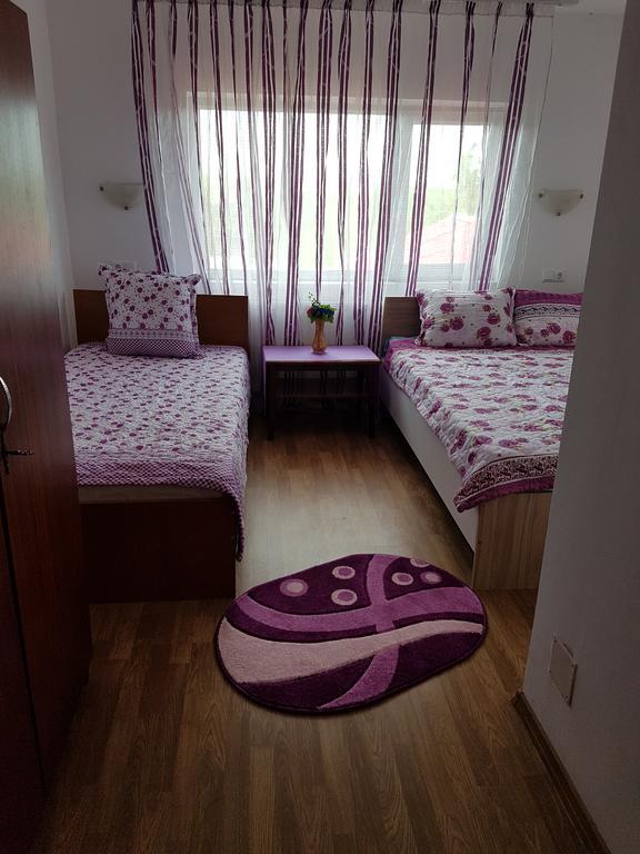Casa Rustica Apart & Rooms Cimpineanca ภายนอก รูปภาพ