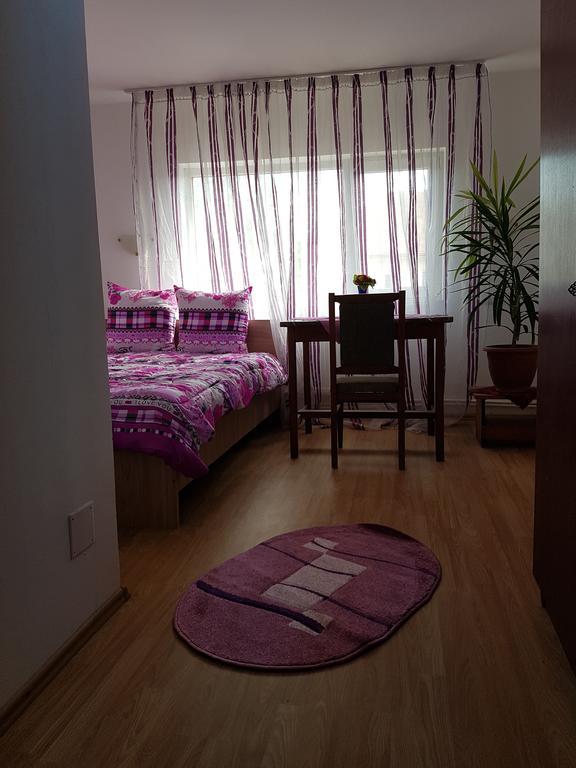 Casa Rustica Apart & Rooms Cimpineanca ภายนอก รูปภาพ